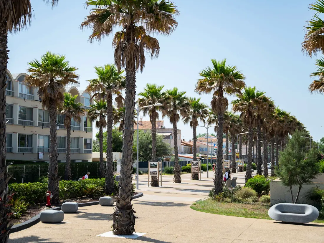 Location de Vacances MARSEILLAN-PLAGE 665