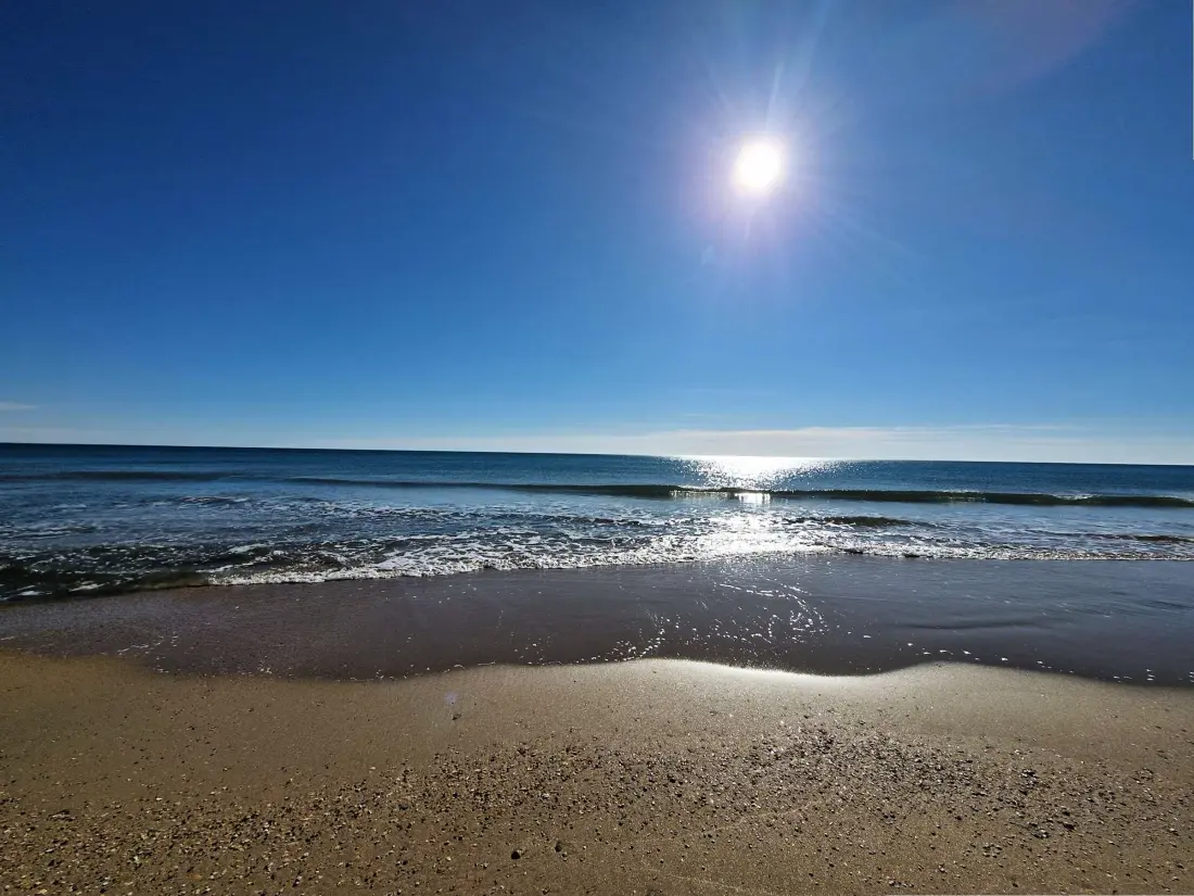 Location de Vacances MARSEILLAN-PLAGE 668