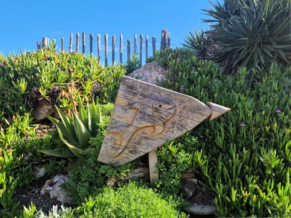 Résidence Dunes (rés.les)