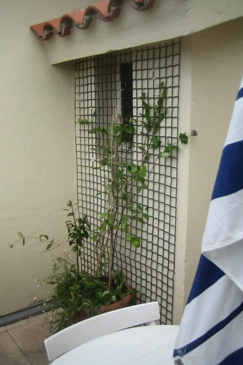 Résidence Möbliertes Studio Agachadou 25m2 mit 3 Terrassen 36m2