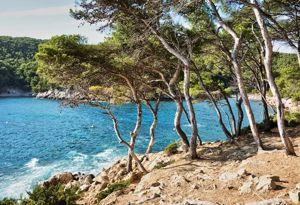 Camping L'Arquet Côte Bleue 41 étoiles★ - Plage