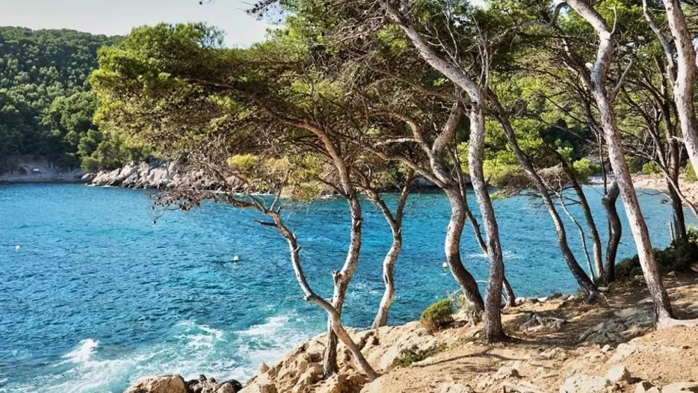 Camping l'Arquet 4 étoiles★★★★