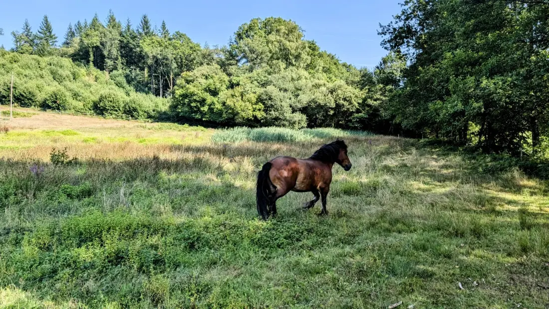 Gîte de France La petite lisonne 2 épis