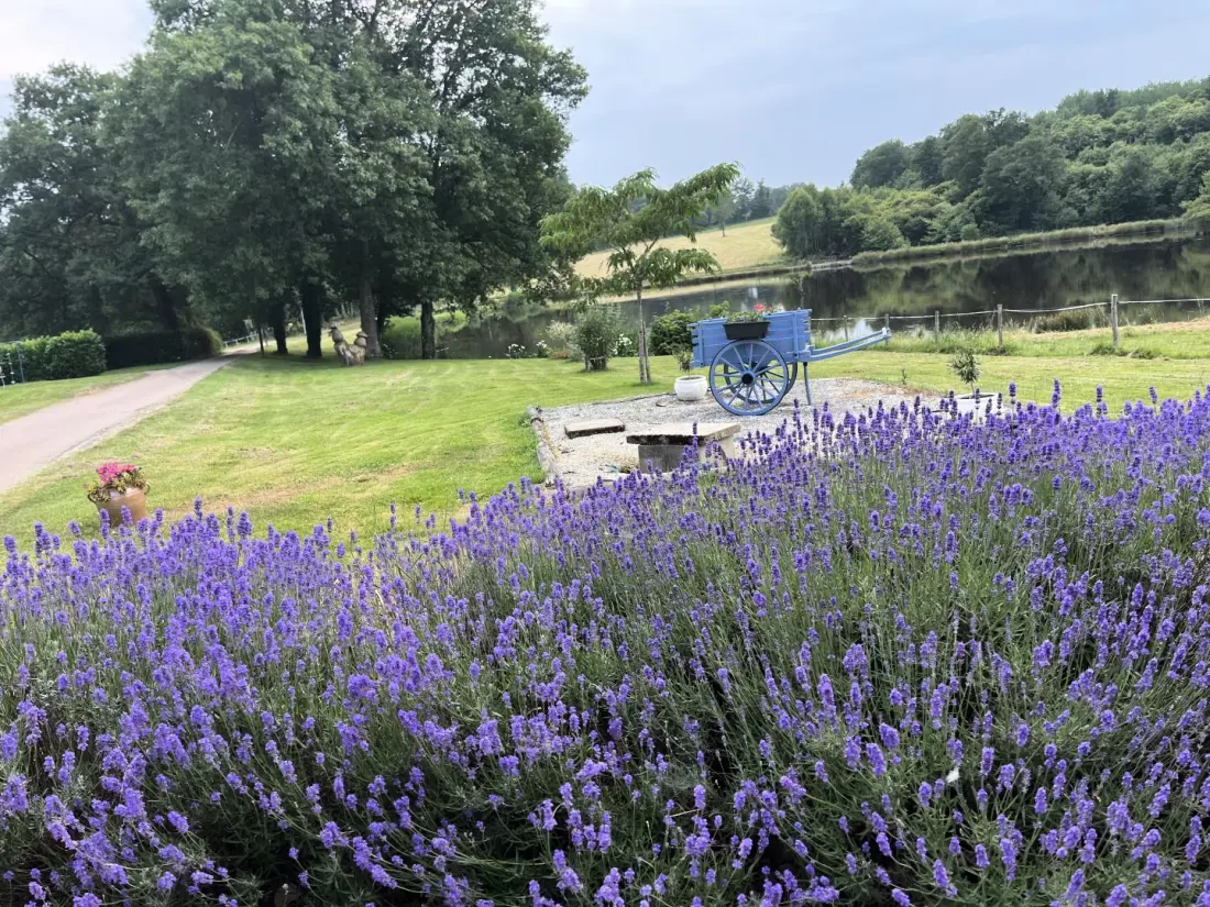 Gîte de France La petite lisonne 2 épis