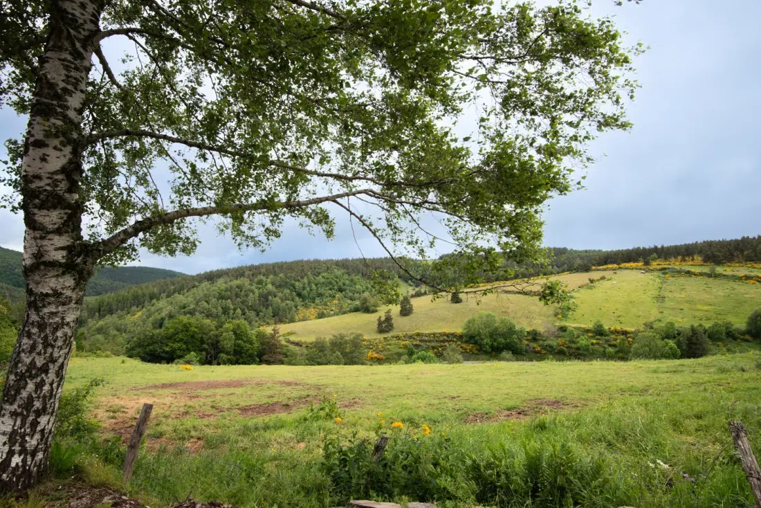 Gîte de France Gîte lou clapas 5 personnes 2 épis