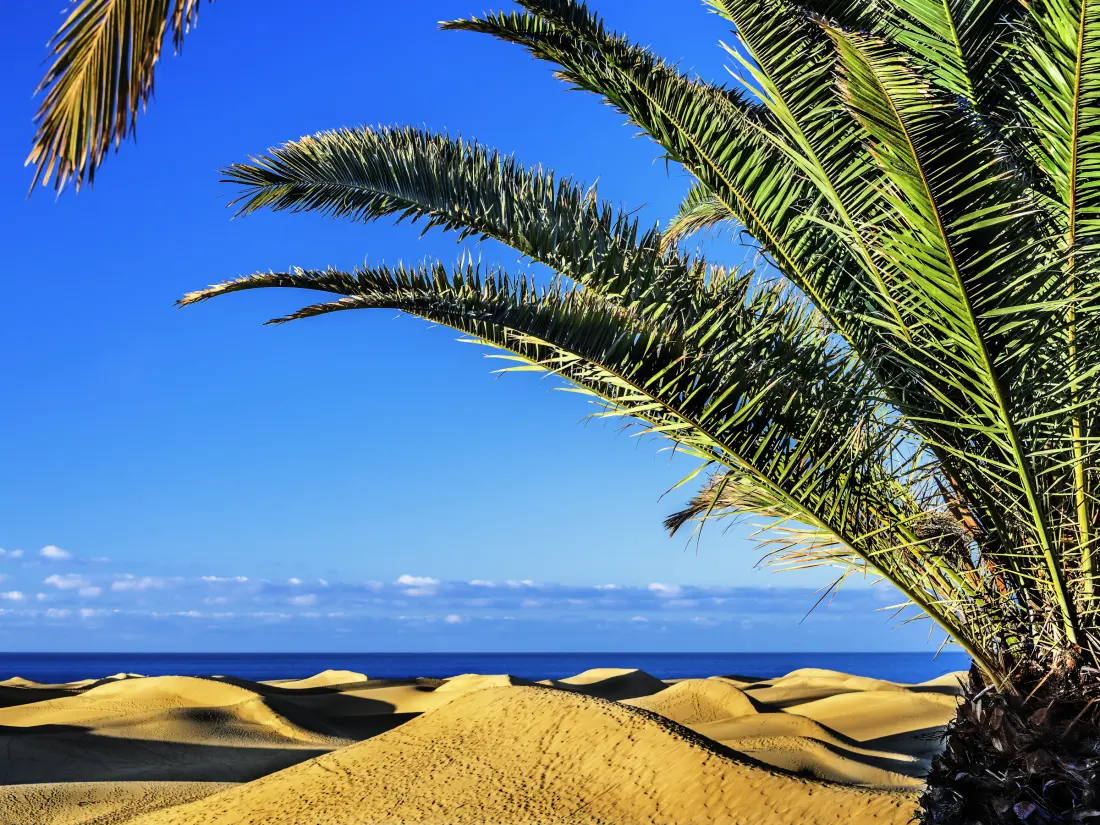 Location de Vacances Maspalomas 26