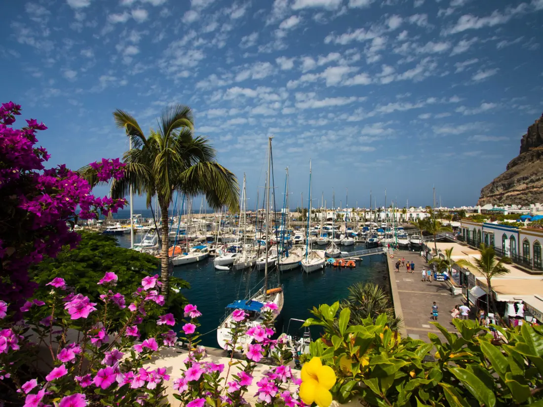 Location de Vacances Maspalomas 26