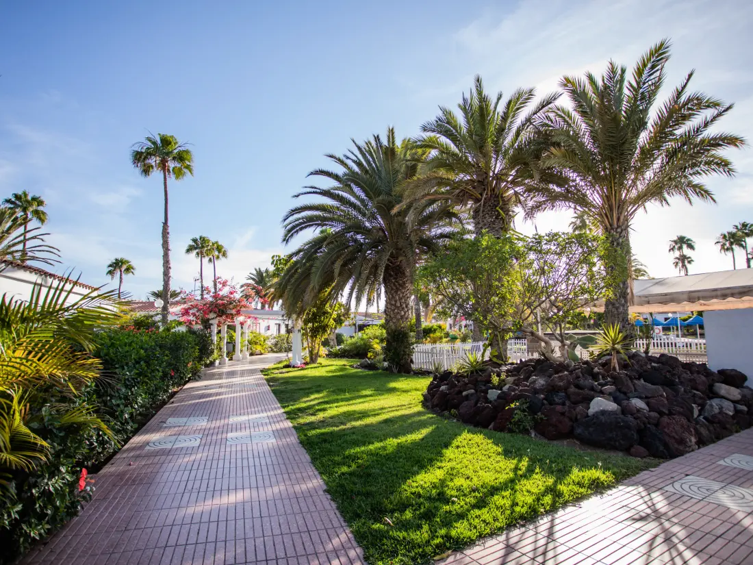 Location de Vacances Maspalomas 34