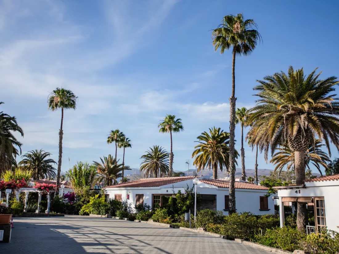 Location de Vacances Maspalomas 34