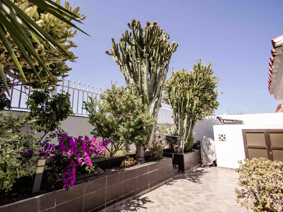 Maison de Vacances Maspalomas 40