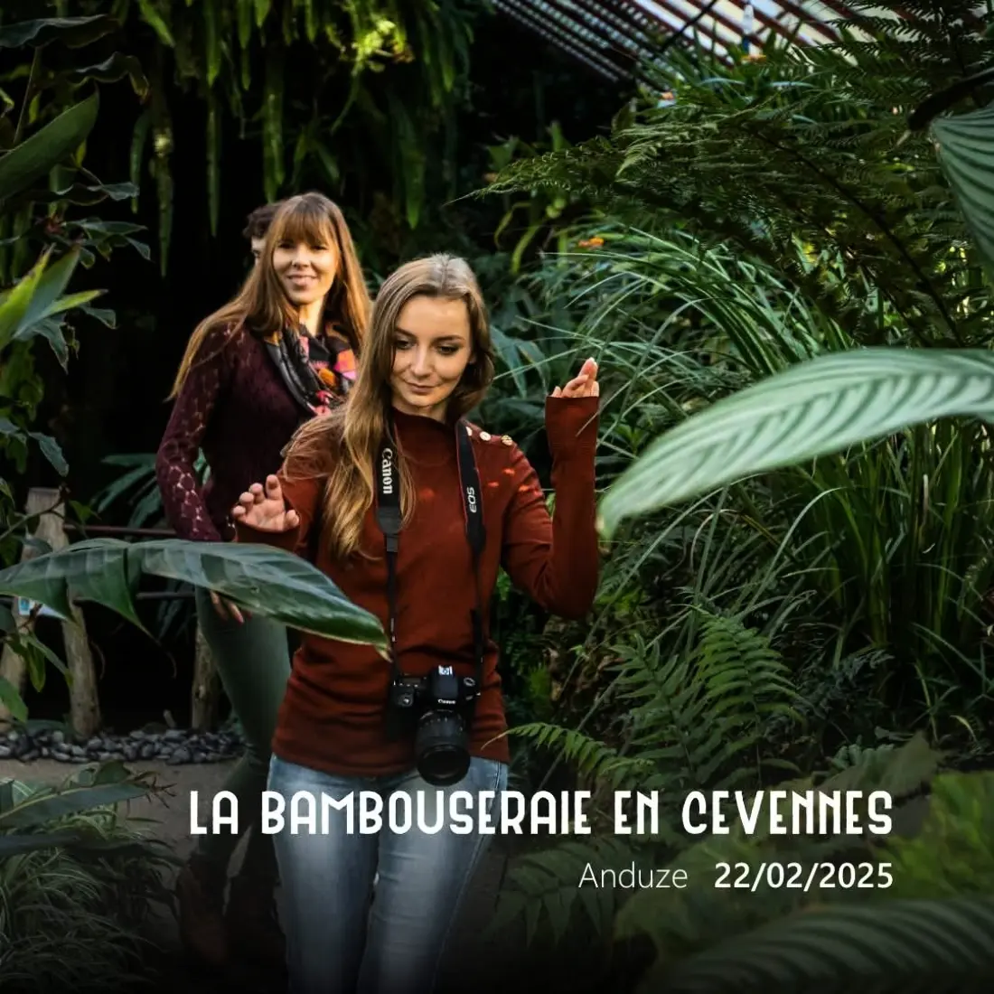 Camping l'Olivier 3 étoiles★★★
