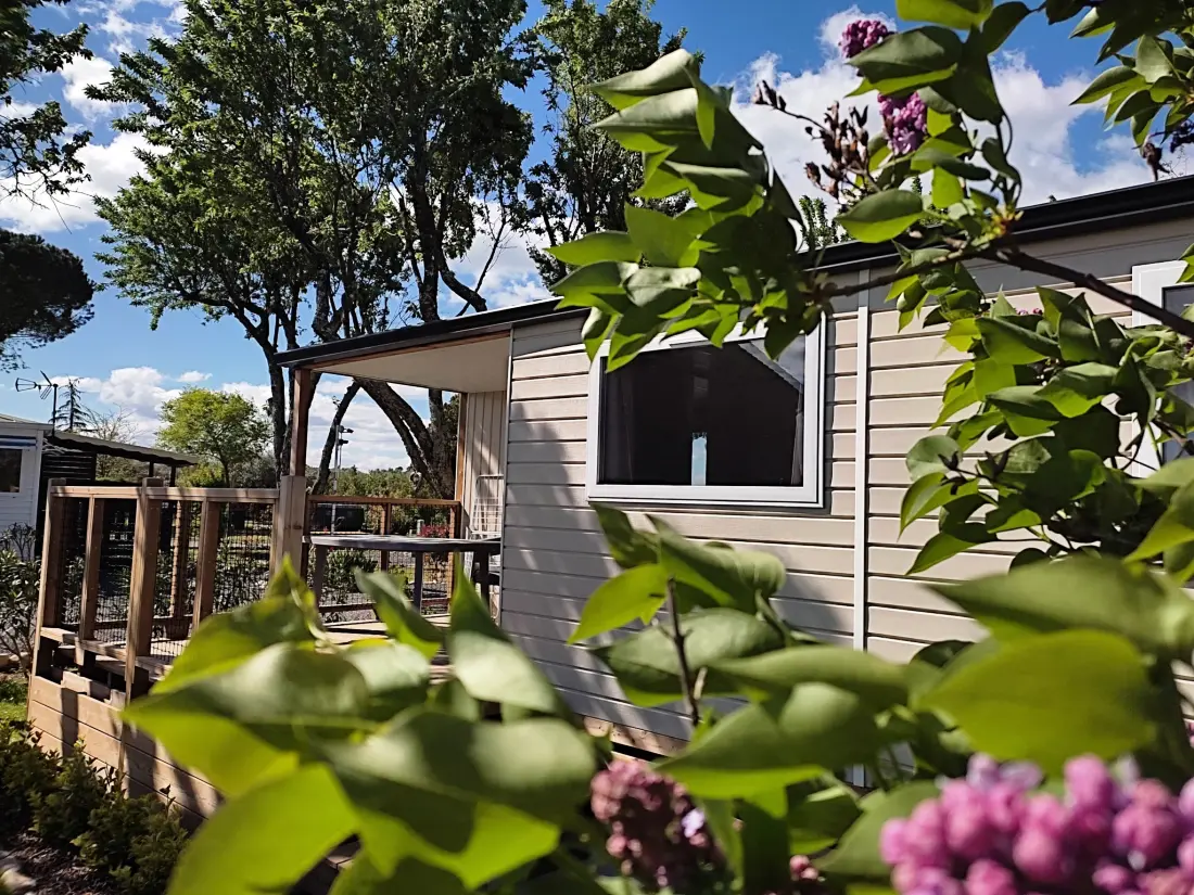 Camping l'Olivier 3 étoiles★★★