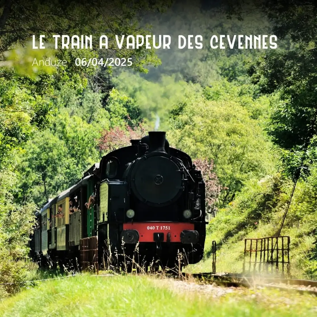 Camping l'Olivier 3 étoiles★★★