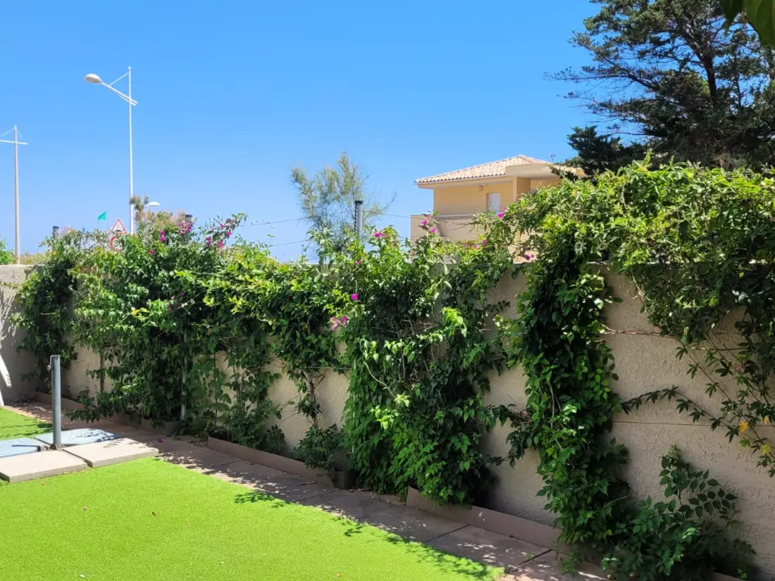 Location de Vacances Mauguio 74