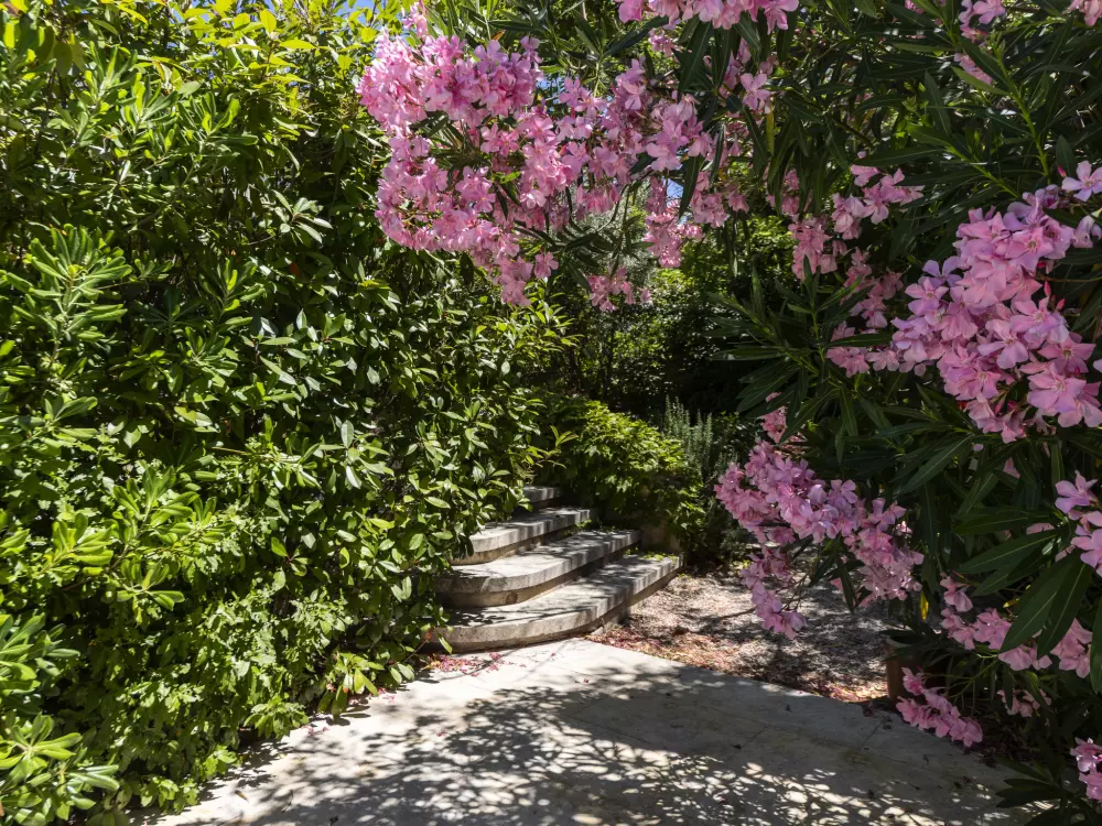 Maison de Vacances Maussane les Alpilles