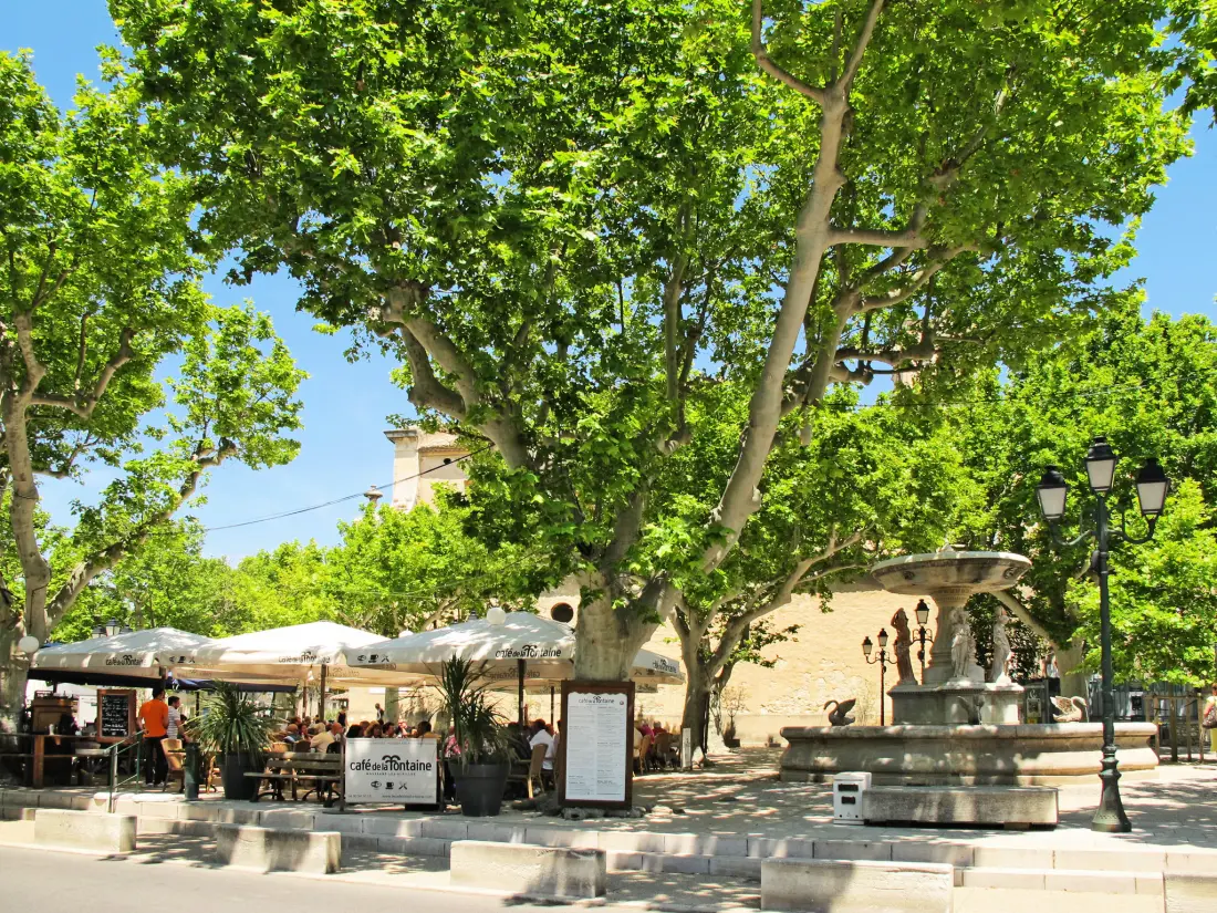 Résidence Odalys Référence Le Mas des Alpilles