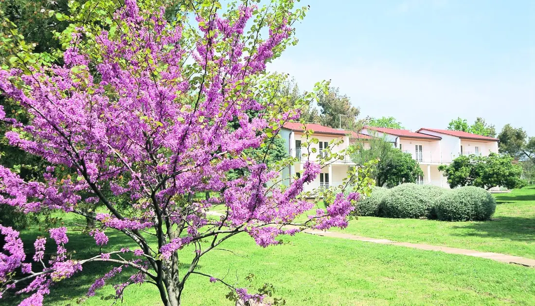 Arena Ai Pini Resort 3 étoiles★★★
