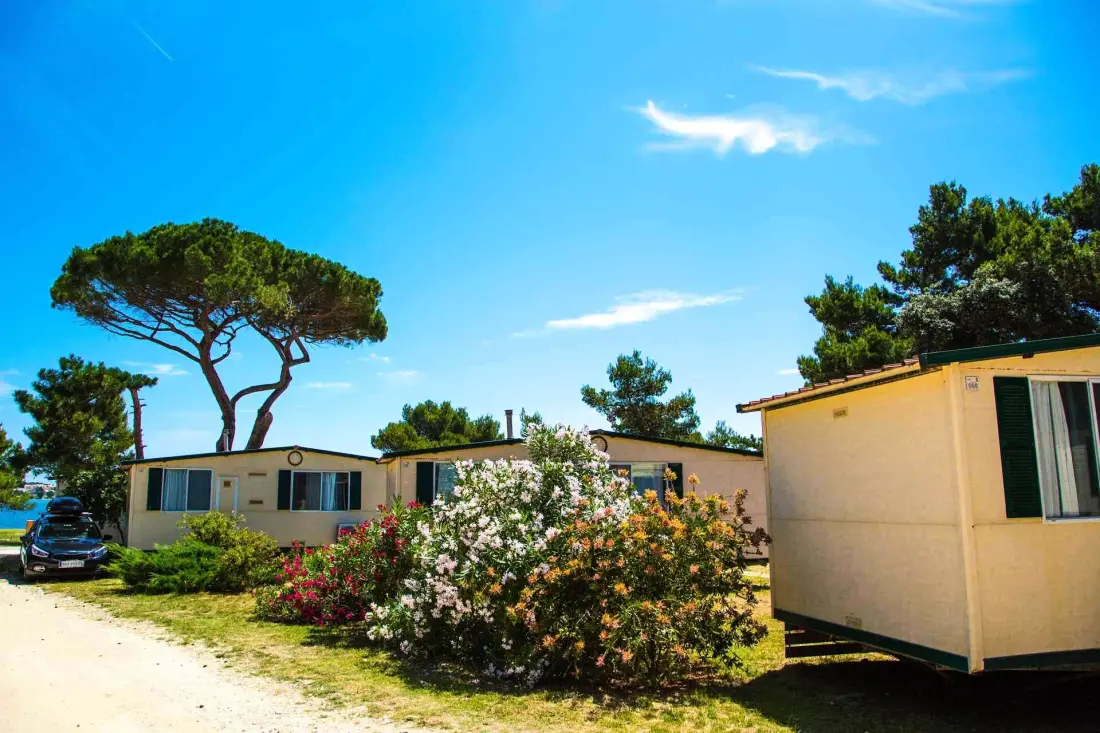 Camping Arena Medulin 3 étoiles★★★