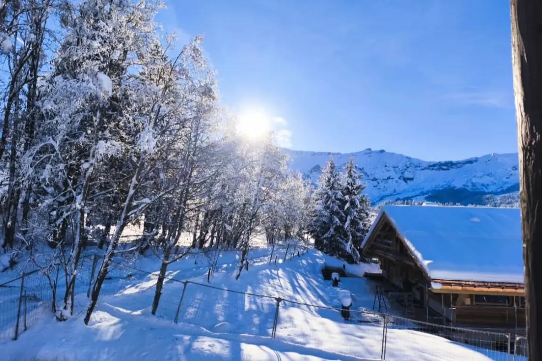 Appartement Cosy Avec Piscine, Ski à Proximité
