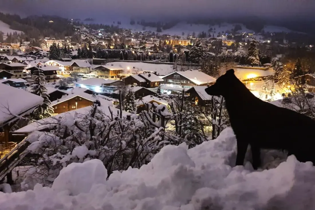 Somptueux Chalet Vue Imprenable Sur Les Montagnes
