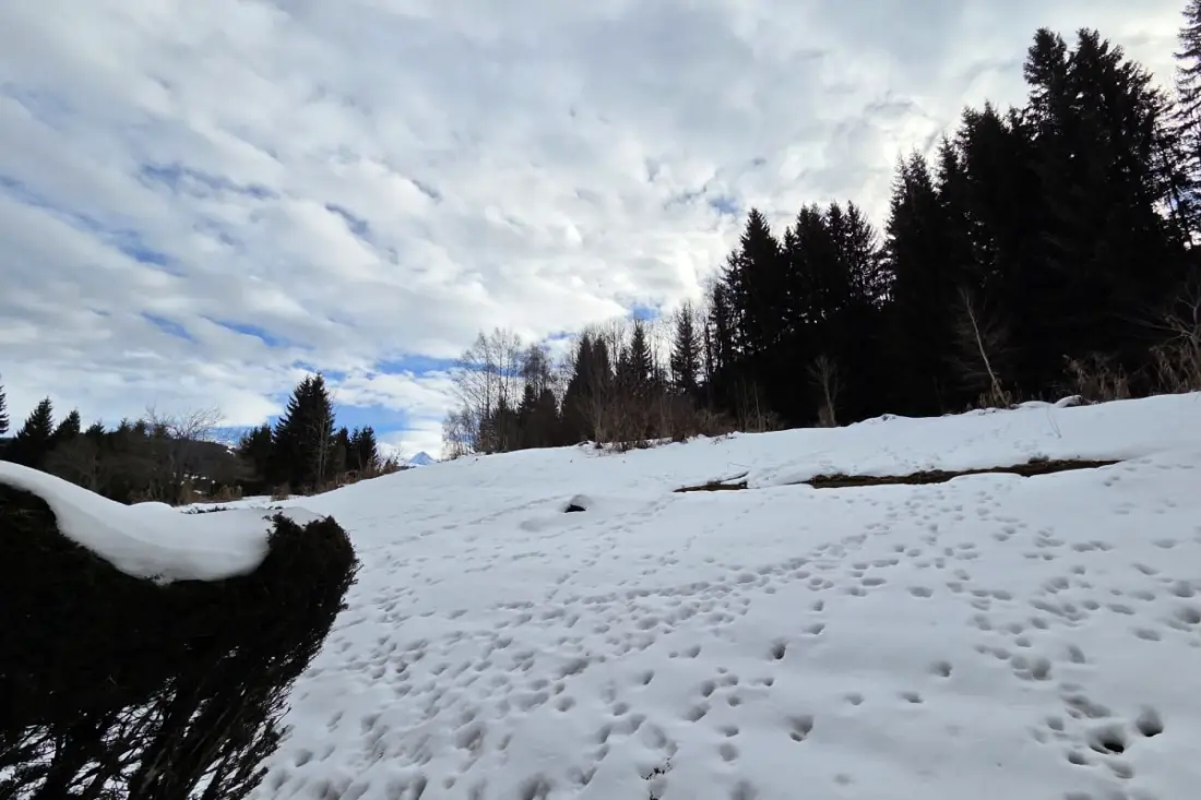 Le Menhir, Chalets De Lady
