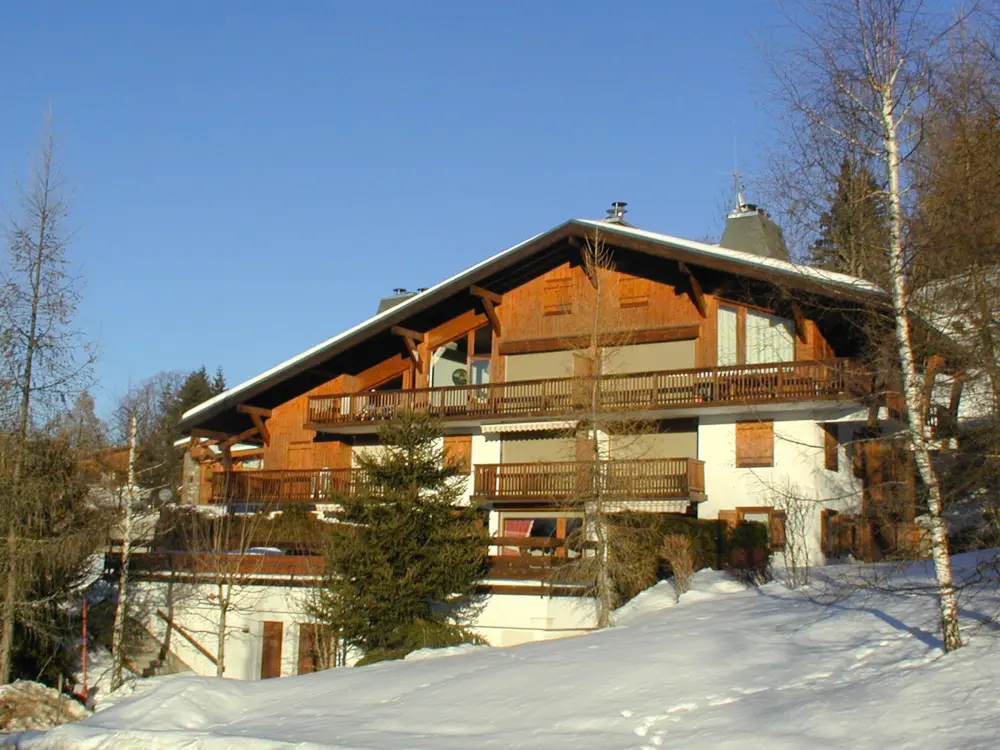 Location de Vacances Megève 143