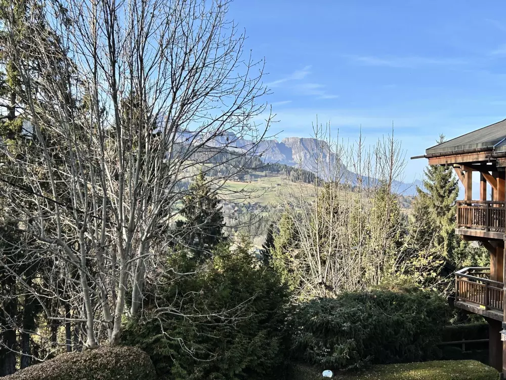 Location de Vacances Megève 231