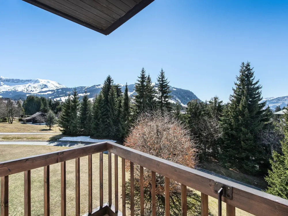 Location de Vacances Megève 25