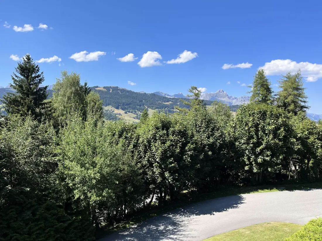 Location de Vacances Megève 366