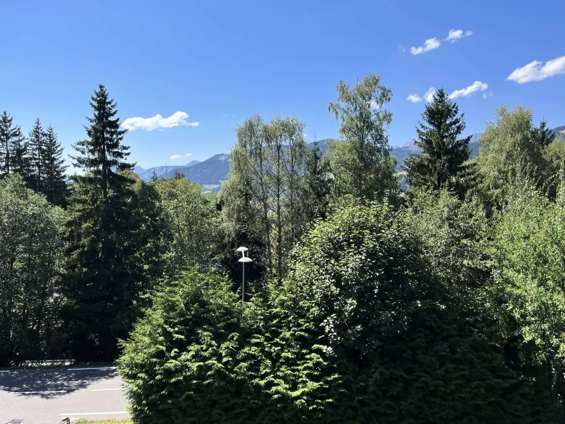 Location de Vacances Megève 366
