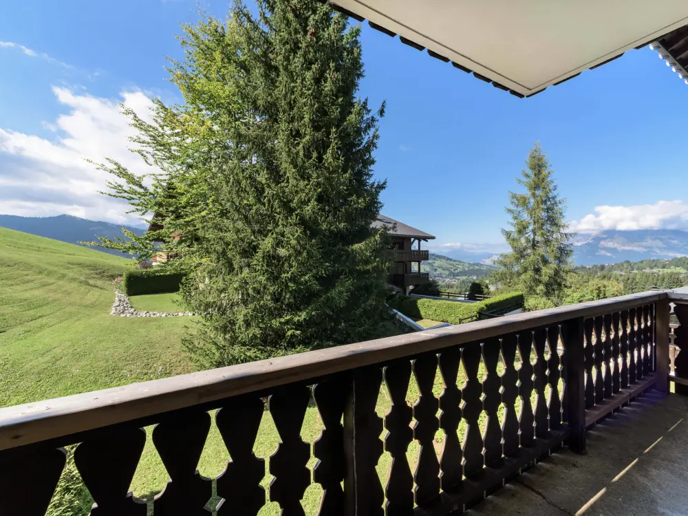 Location de Vacances Megève 46