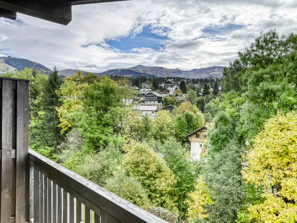 Location de Vacances Megève 467