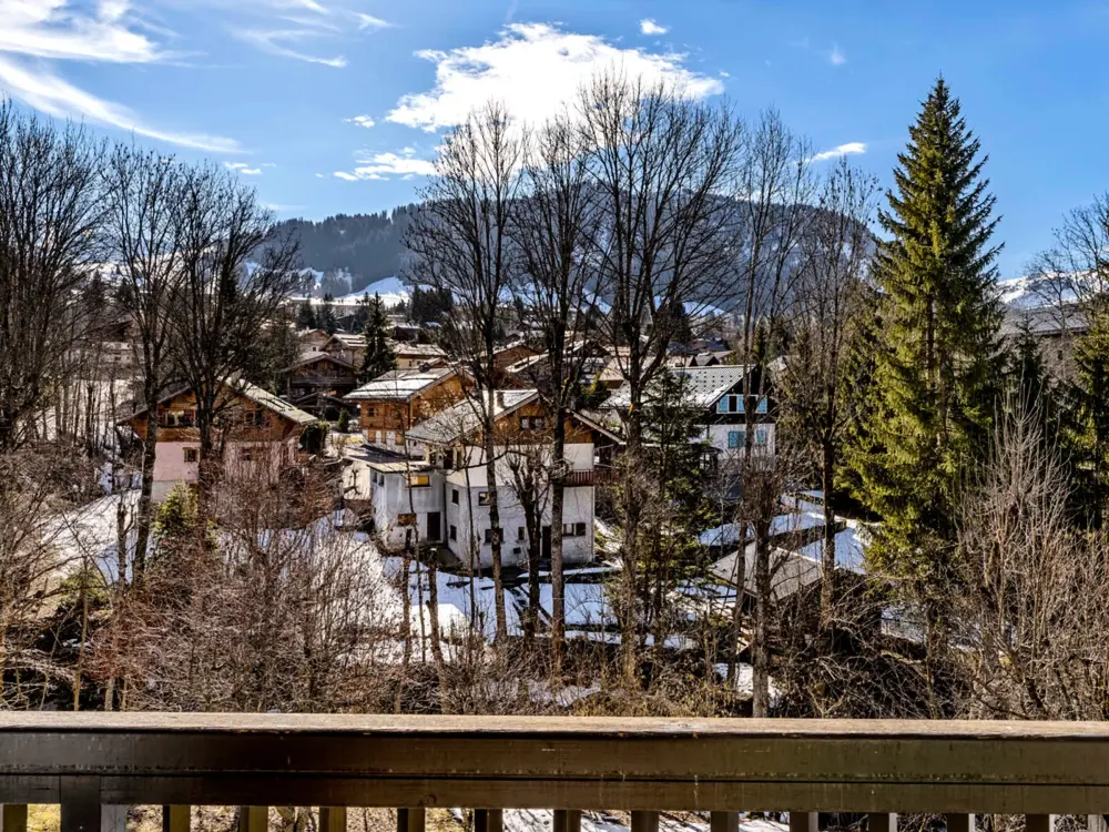 Location de Vacances Megève 467