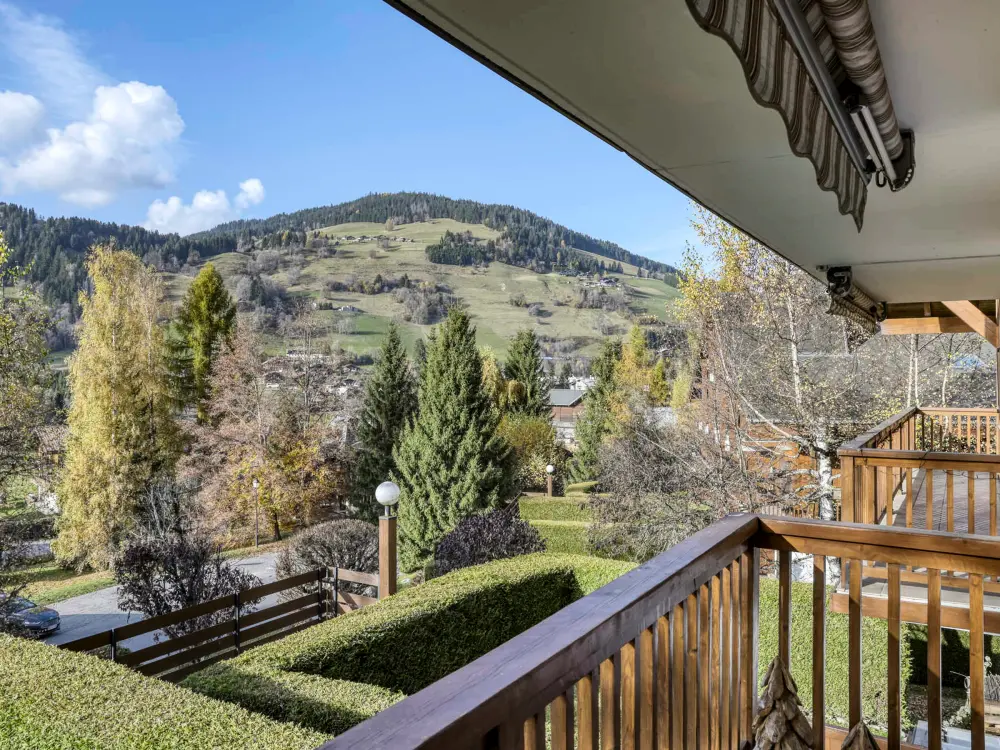 Location de Vacances Megève 469