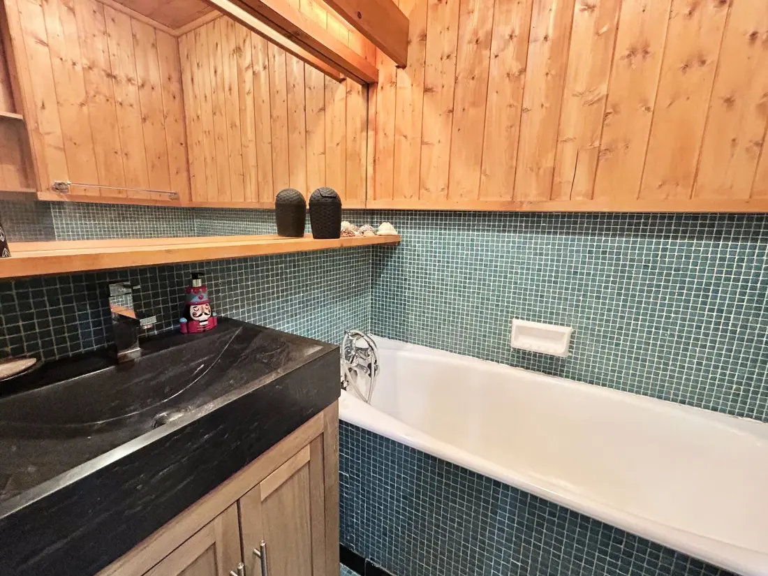 Location de Vacances Megève 479