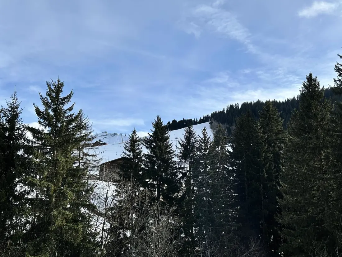 Location de Vacances Megève 479