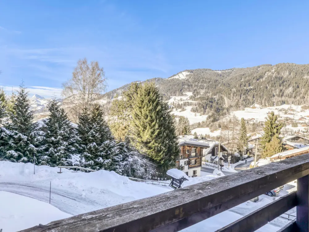Location de Vacances Megève 492
