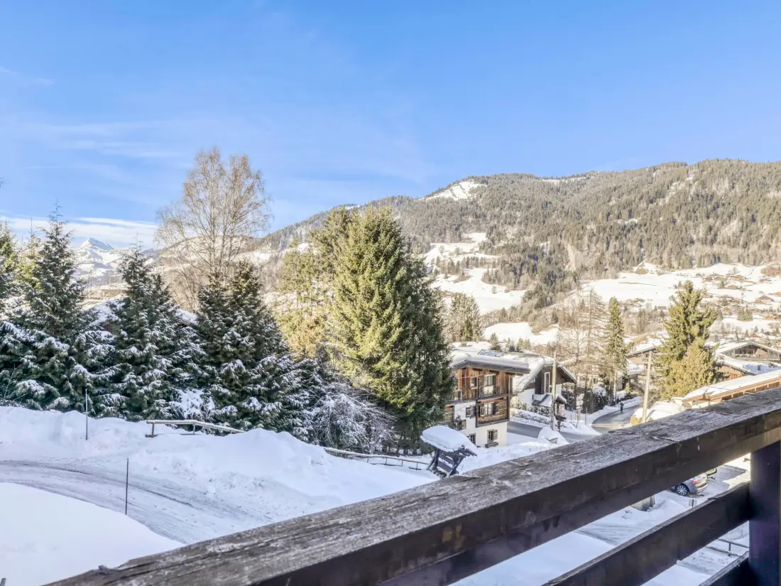 Location de Vacances Megève 492