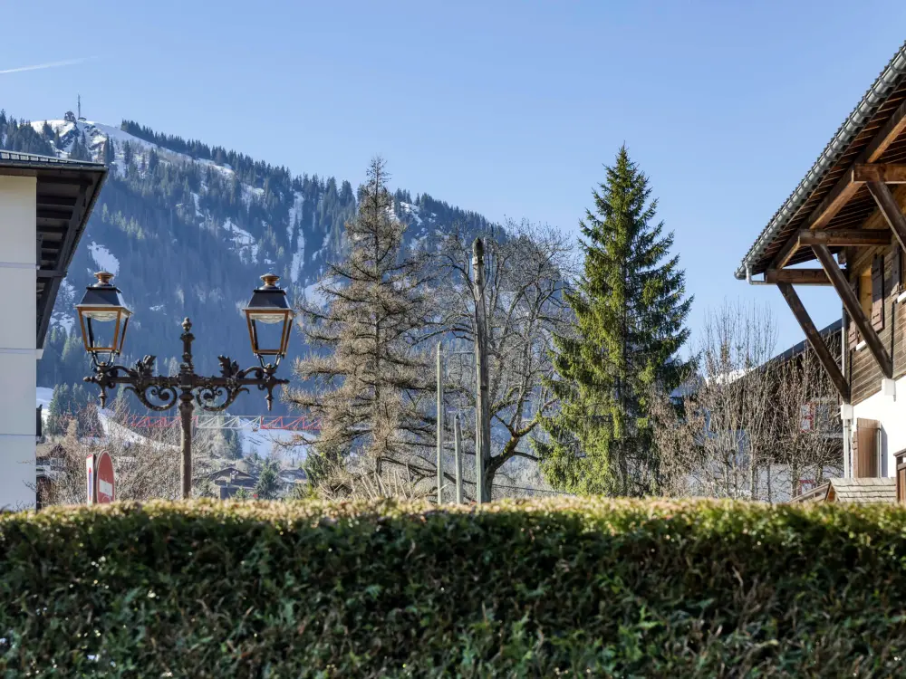 Location de Vacances Megève 493