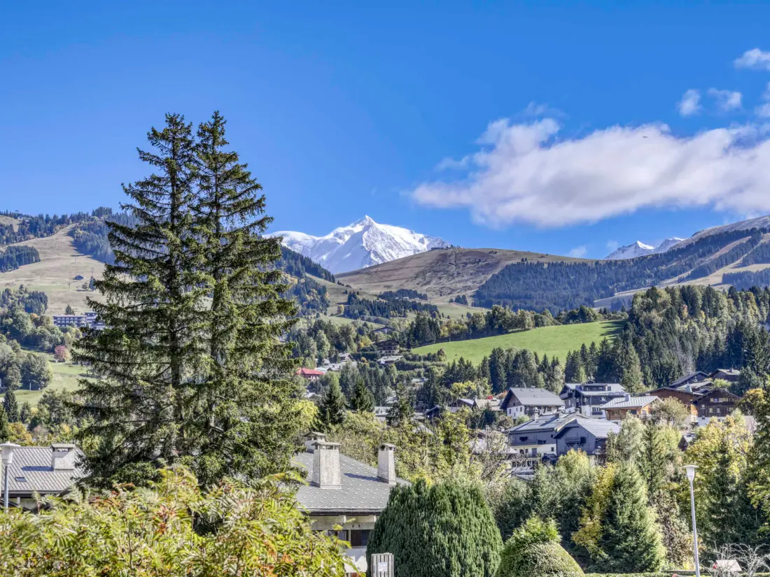 Location de Vacances Megève 498