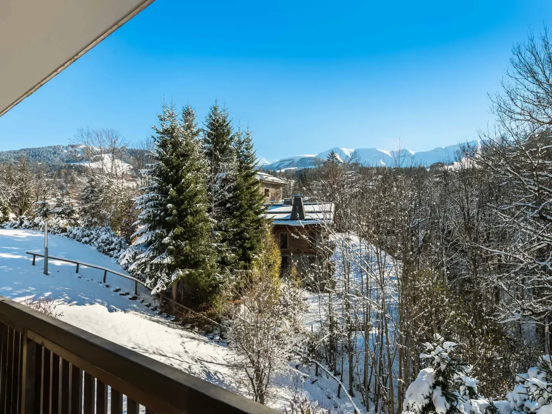 Location de Vacances Megève 69