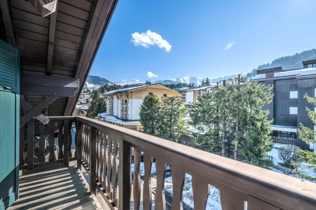 Panorama Mont Blanc -