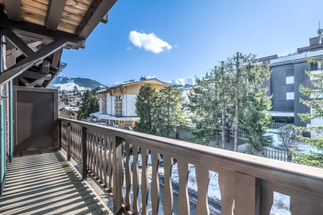 Panorama Mont Blanc -