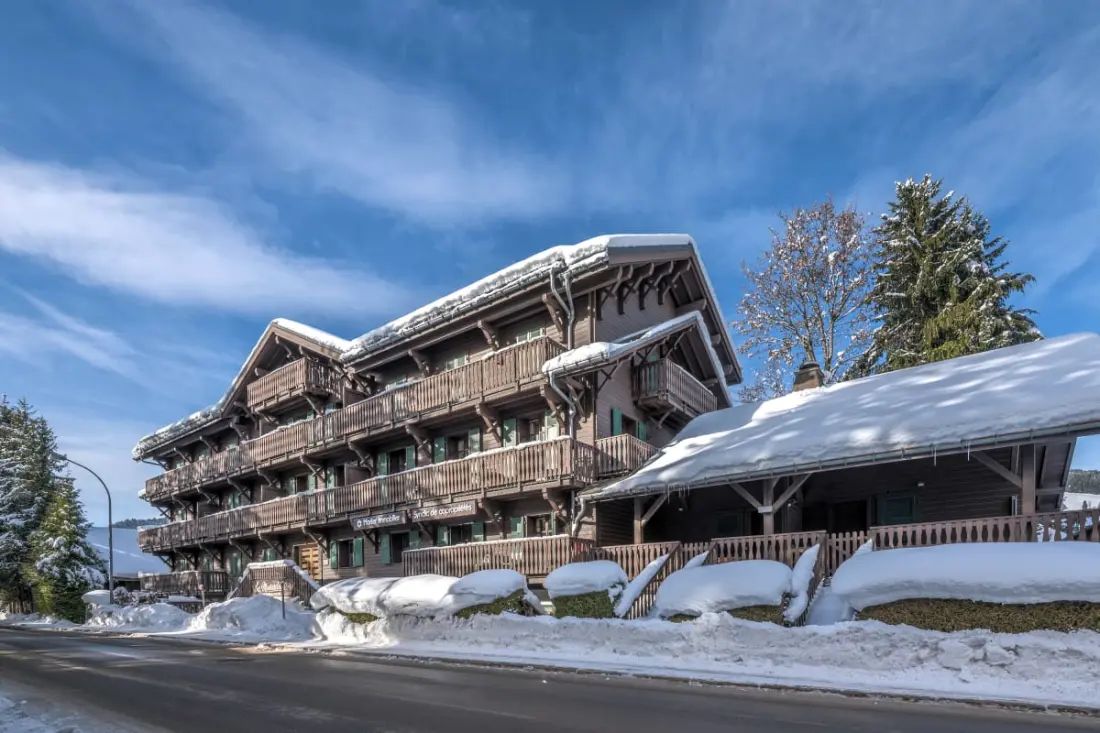 Panorama Mont Blanc -