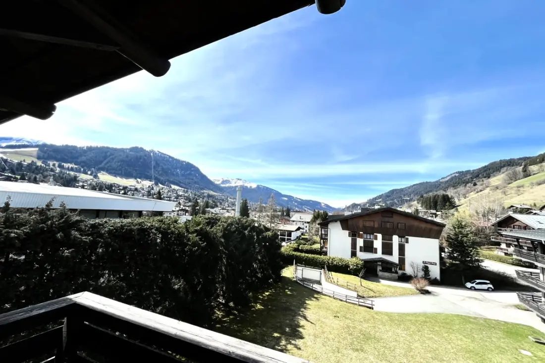 Charmant Appartement - Balcon