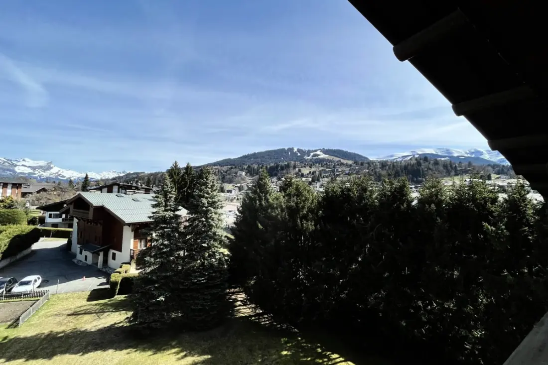 Charmant Appartement - Balcon