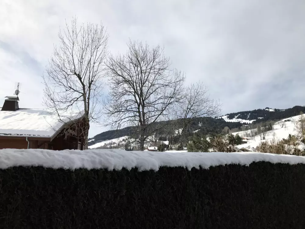 Résidence Edelweiss