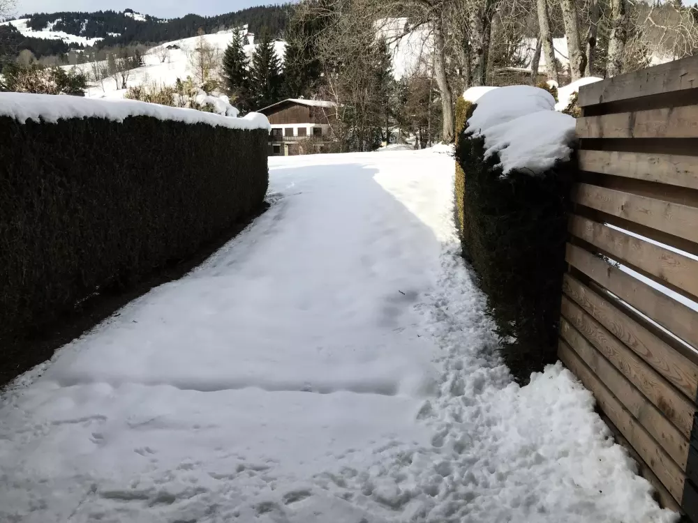 Résidence Edelweiss