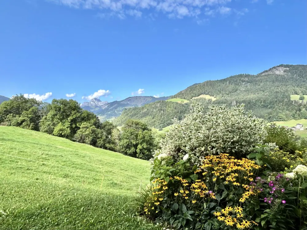 Résidence La Croix De Rochebrune