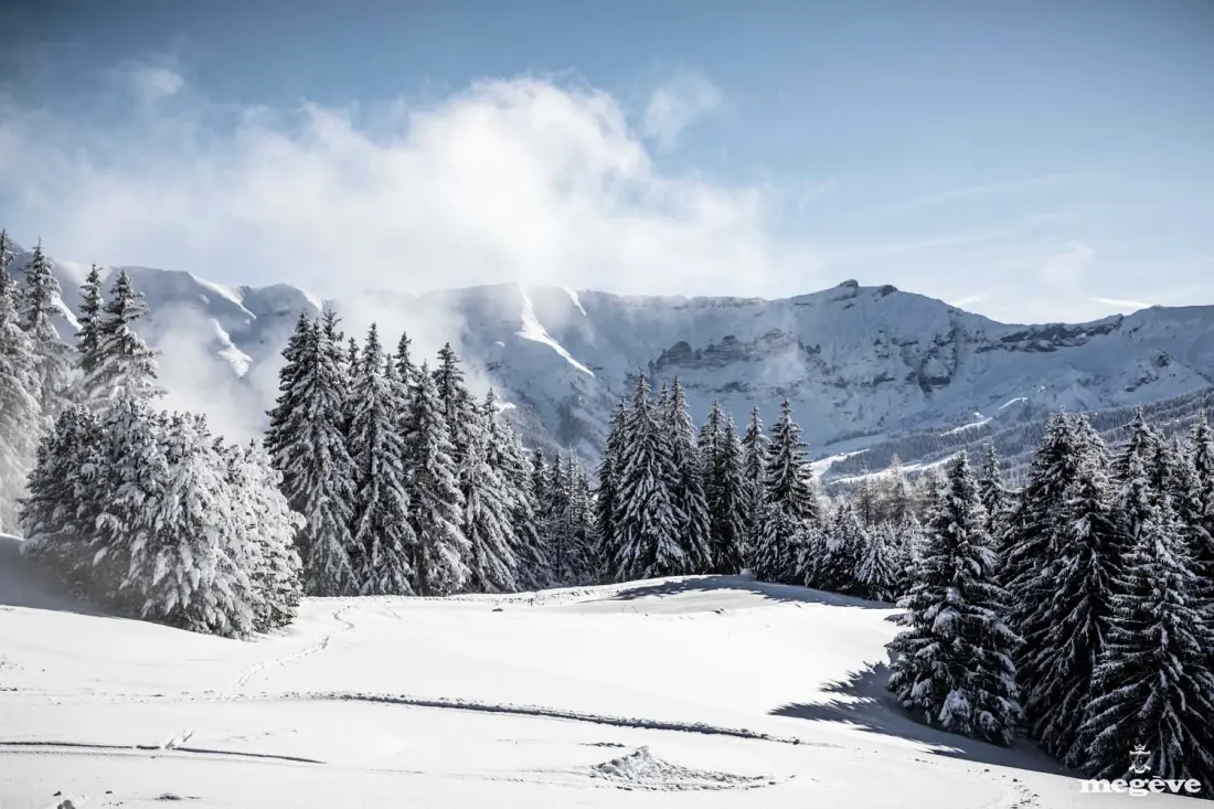 Résidence Super Megeve